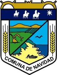 224144_1022093671790_1208663854_56835_4088_n