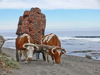 Posible línea de transporte turístico regular Matanzas, Roca Cuadrada