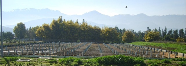 Planta TAS de El Melón