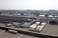 plantalafarfana_113015