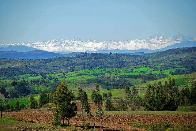 La cordillera desde Centinela (Navidad)