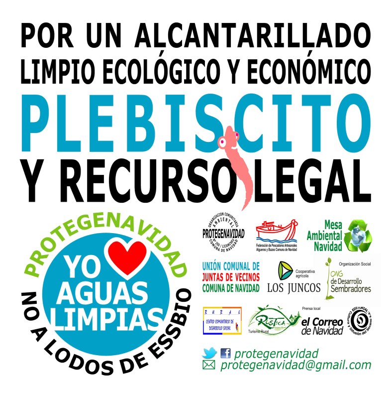 FACE PLEBISCITO chico