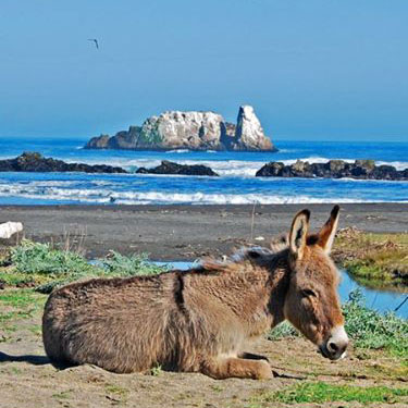 matanzas antes del paseo