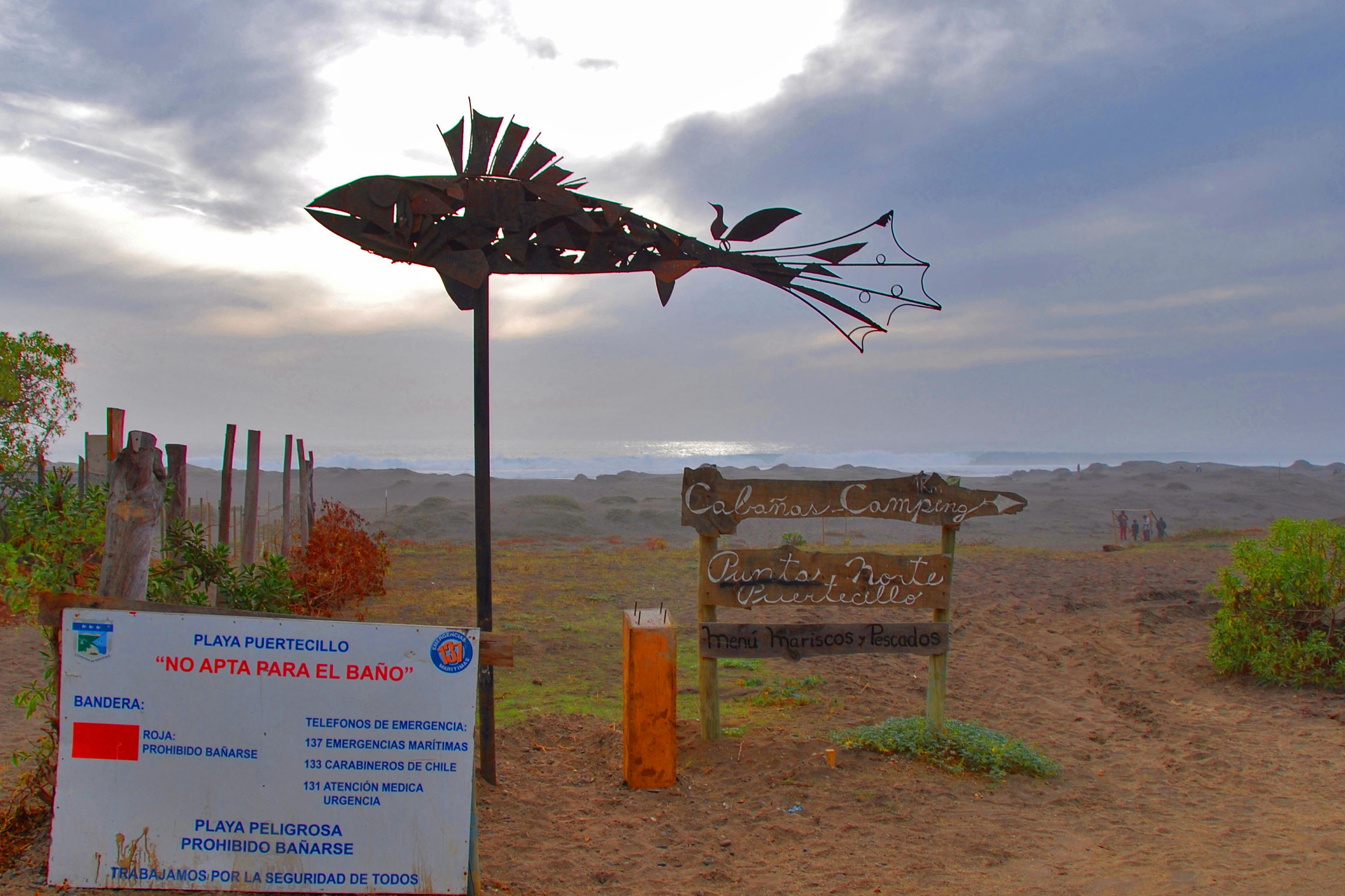 PEZ VOLADOR PUERTECILLO