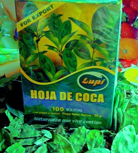 hojas+de+coca