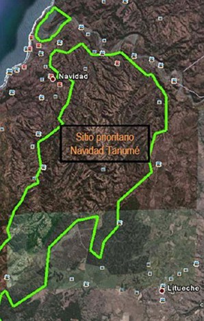 navidadtanume LIBRO ROJO