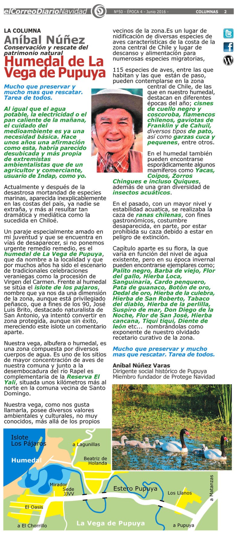 COLUMNA NUÑEZ  SEGUNDA 150