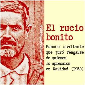 1-rucio-bonito-500