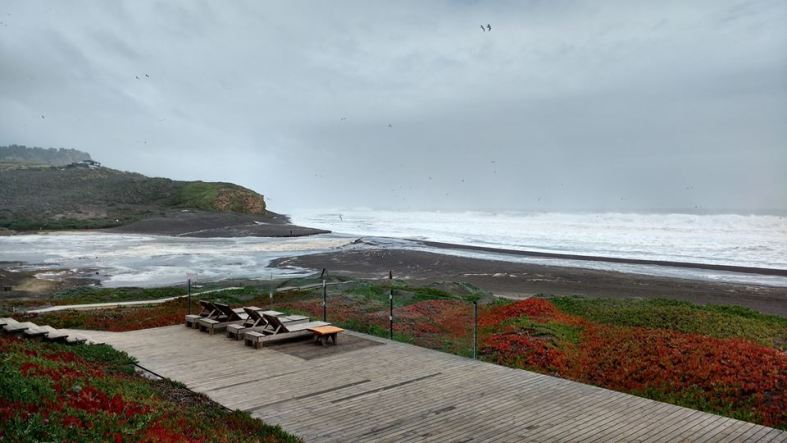 13645356_1769515959962349_1770993015521822165_n