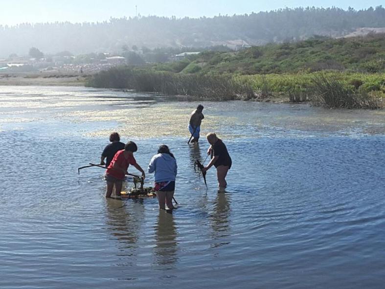 16938962_1307444159303176_3326669383052650162_n