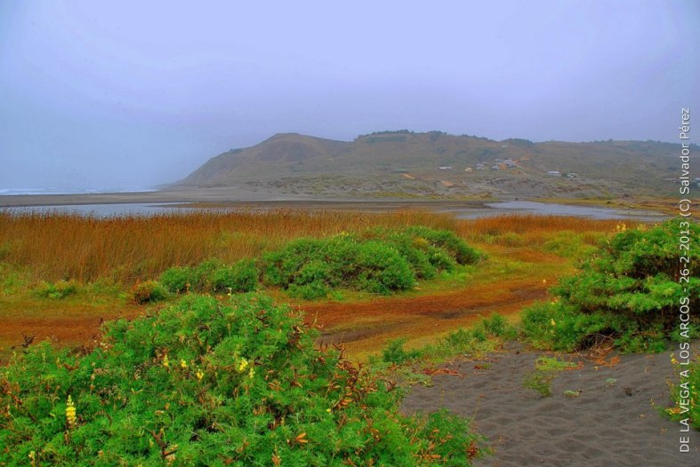 226828_4397160418146_1054187263_n