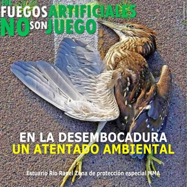ATENTADO AMBIENTAL